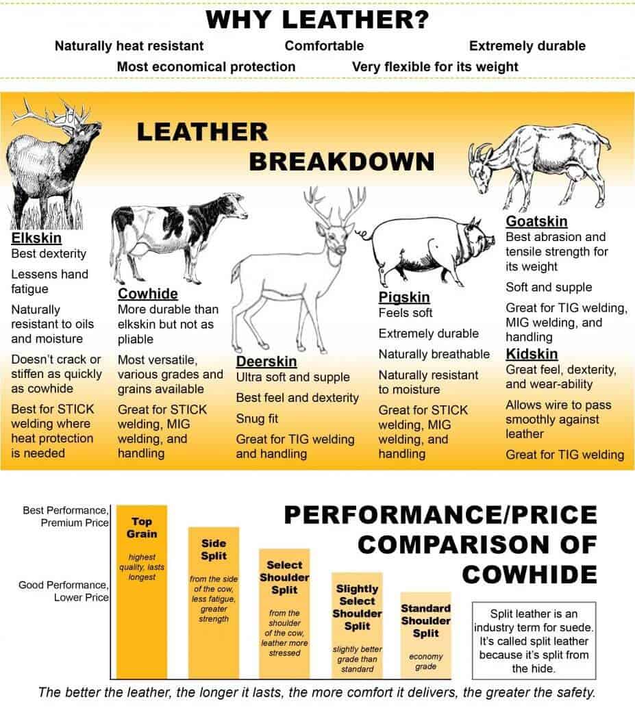 Jaket Kulit Sapi dan Domba: Beda Kulit Sapi vs Domba Lengkap